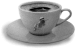 Cute Café Bird Cup